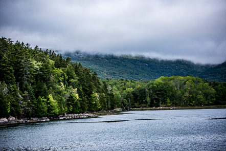 image of a foggy morning in Maine