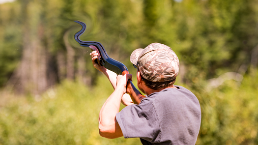 photoshop image manipulation with liquify